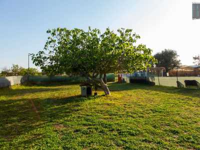 ...che ci guida verso un grande giardino posto di fianco alla casa in cui vive